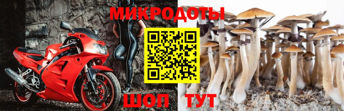 Псилоцибиновые грибы мухоморы Чапаевск